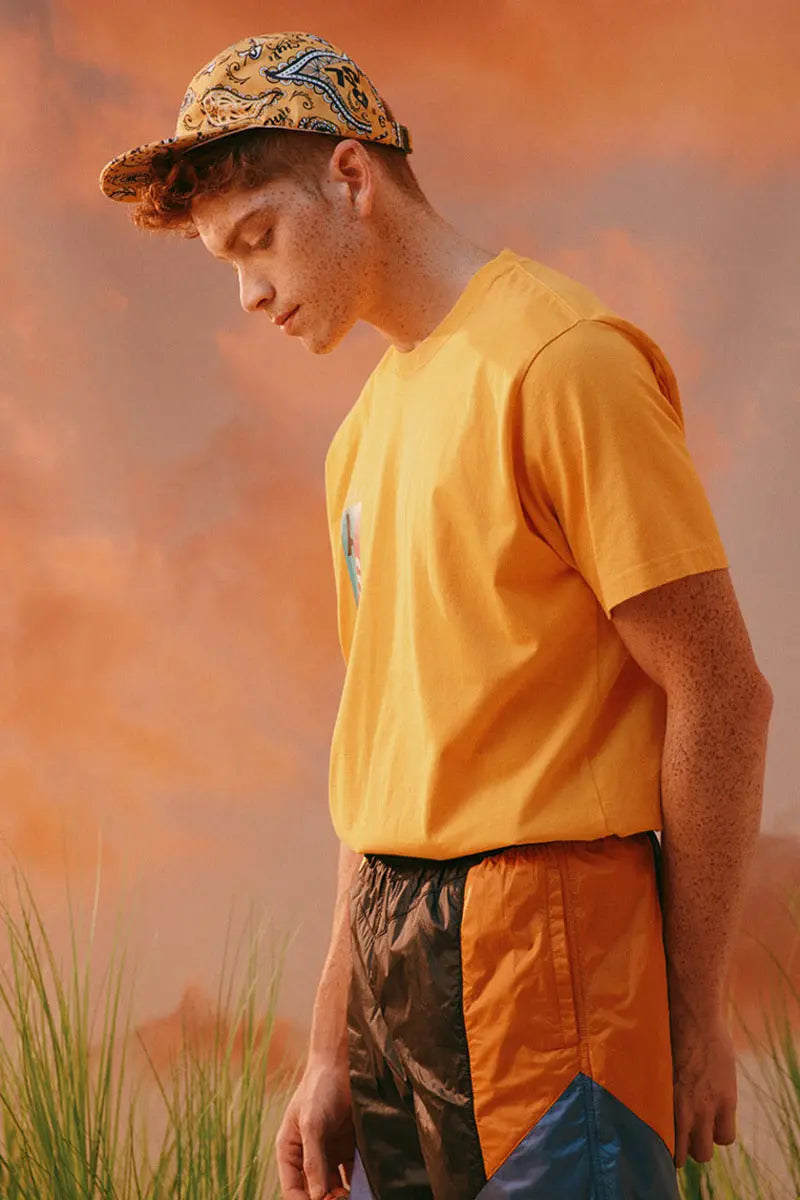 Henry Flag Tee AlphaStyle