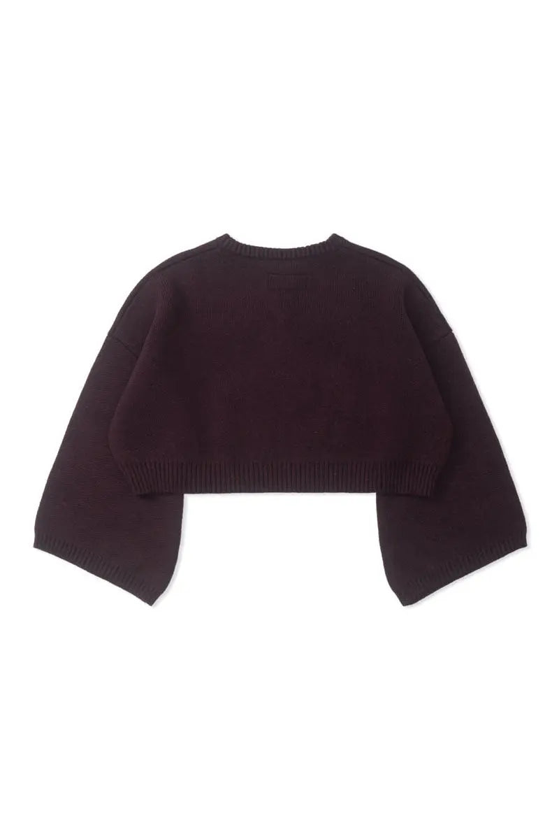 Paonia Flare Sleeves Knitted Top AlphaStyle