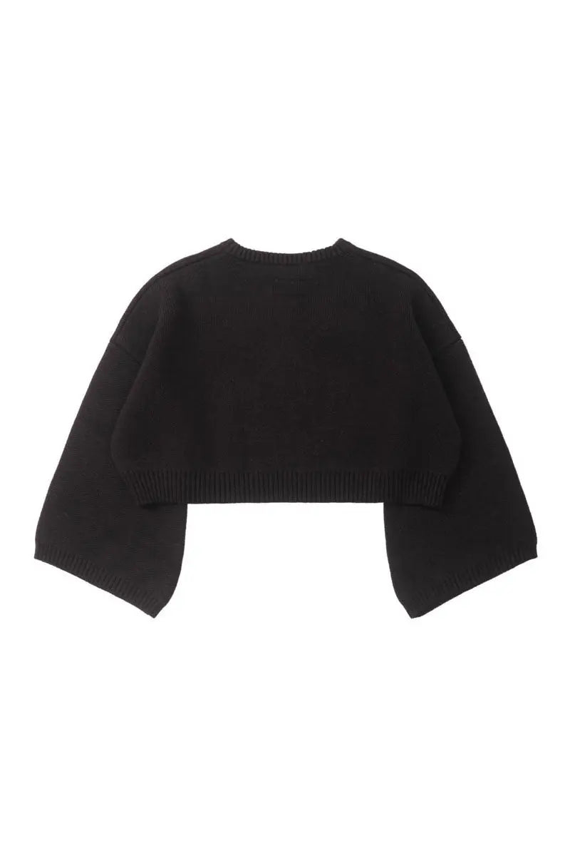 Paonia Flare Sleeves Knitted Top AlphaStyle