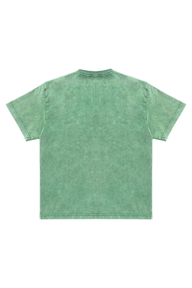 Riley Snow Wash Tee 2.0 AlphaStyle