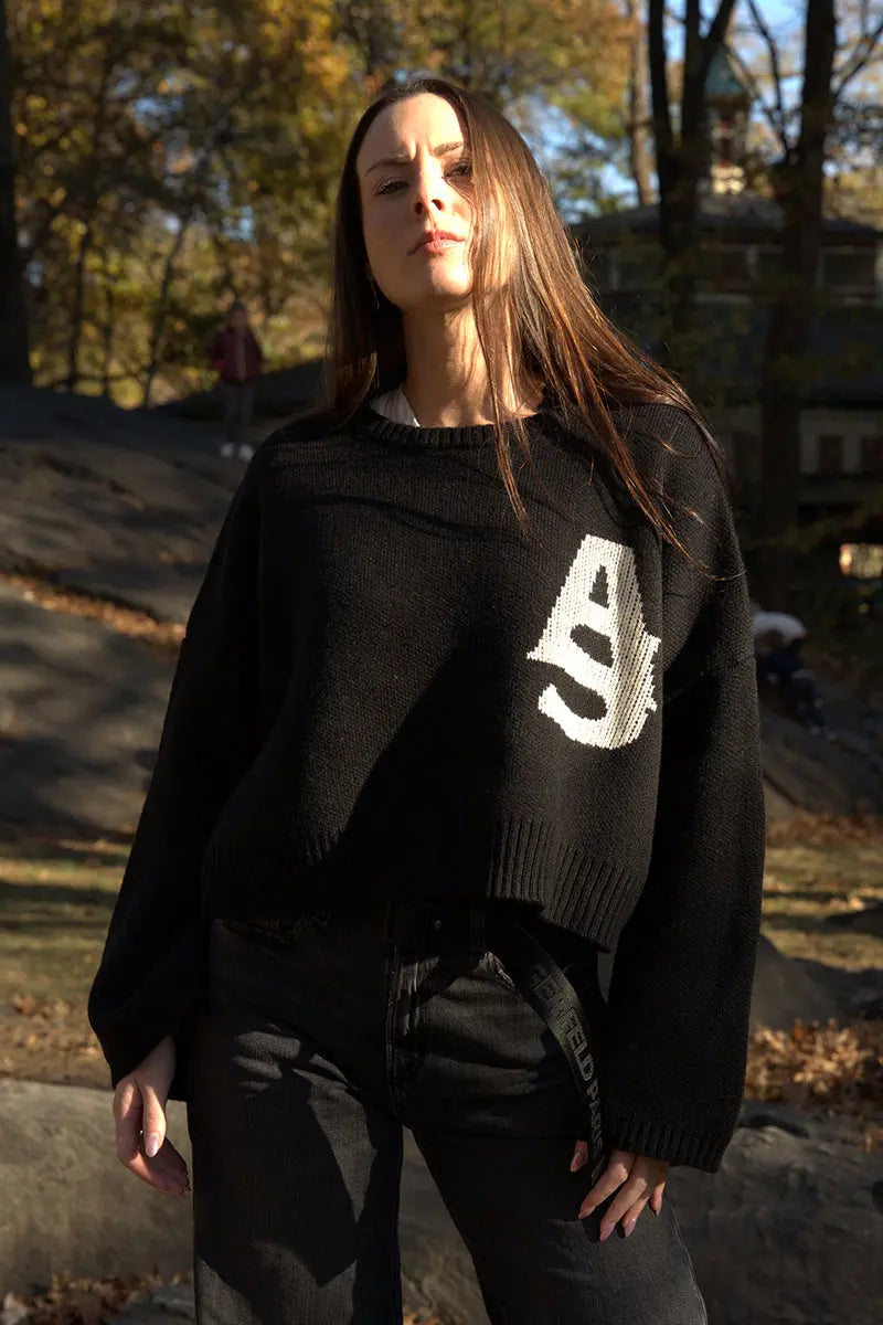 Claude Sweater AlphaStyle