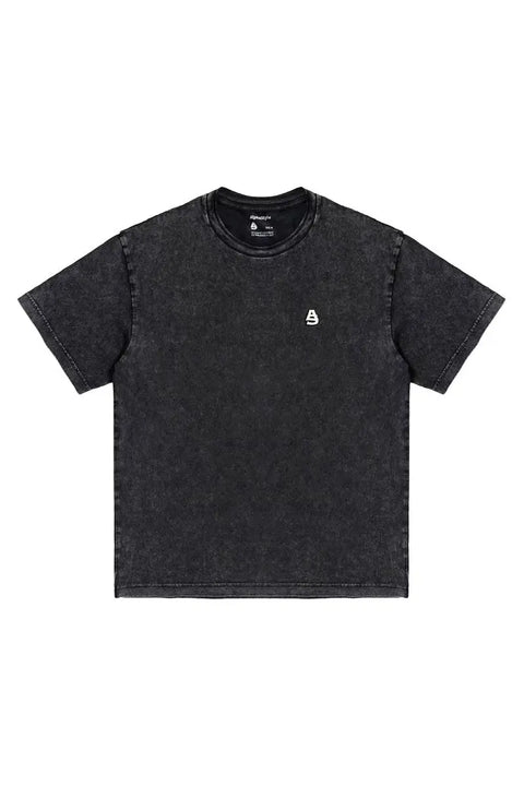Riley Snow Wash Tee 2.0 AlphaStyle