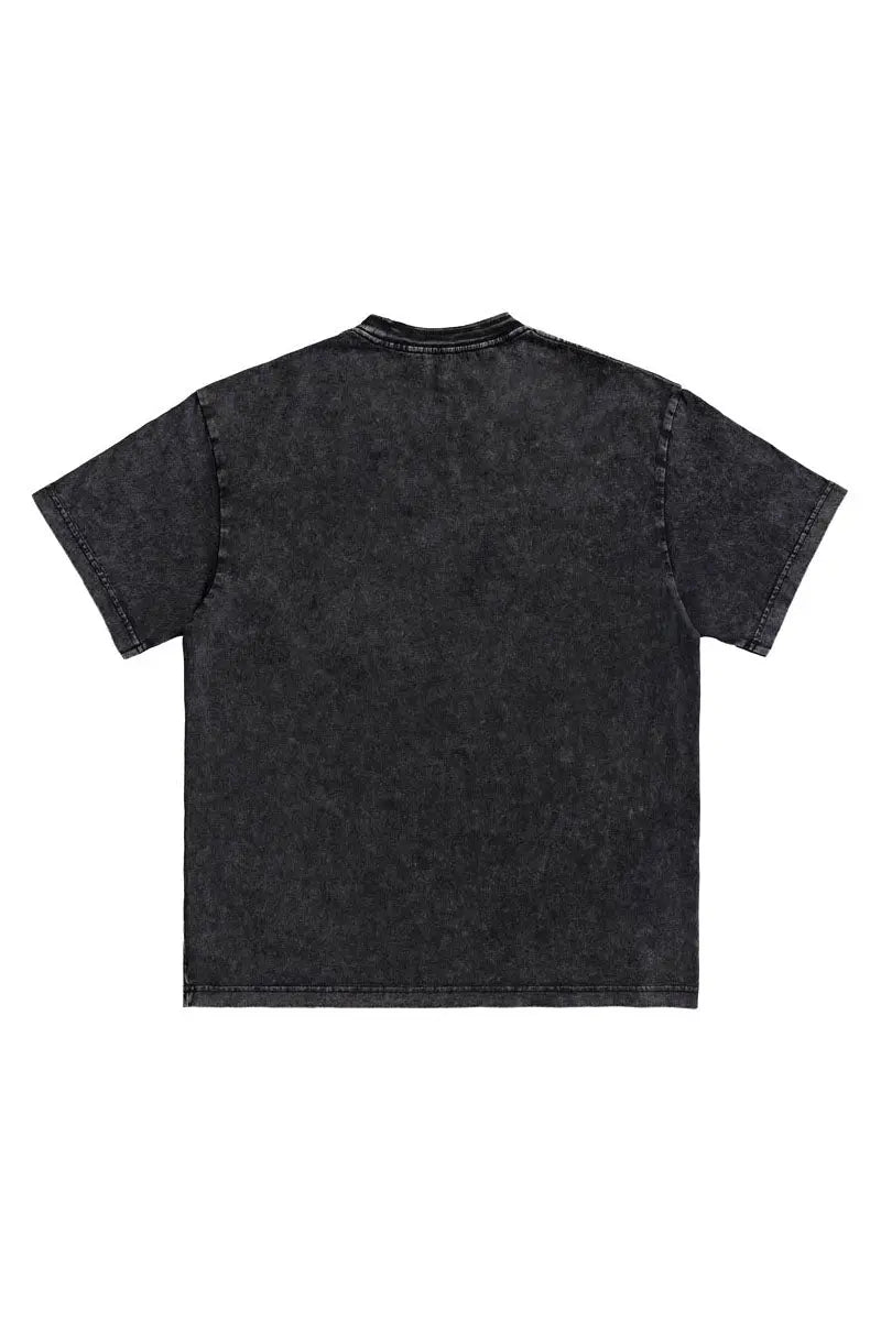 Riley Snow Wash Tee 2.0 AlphaStyle