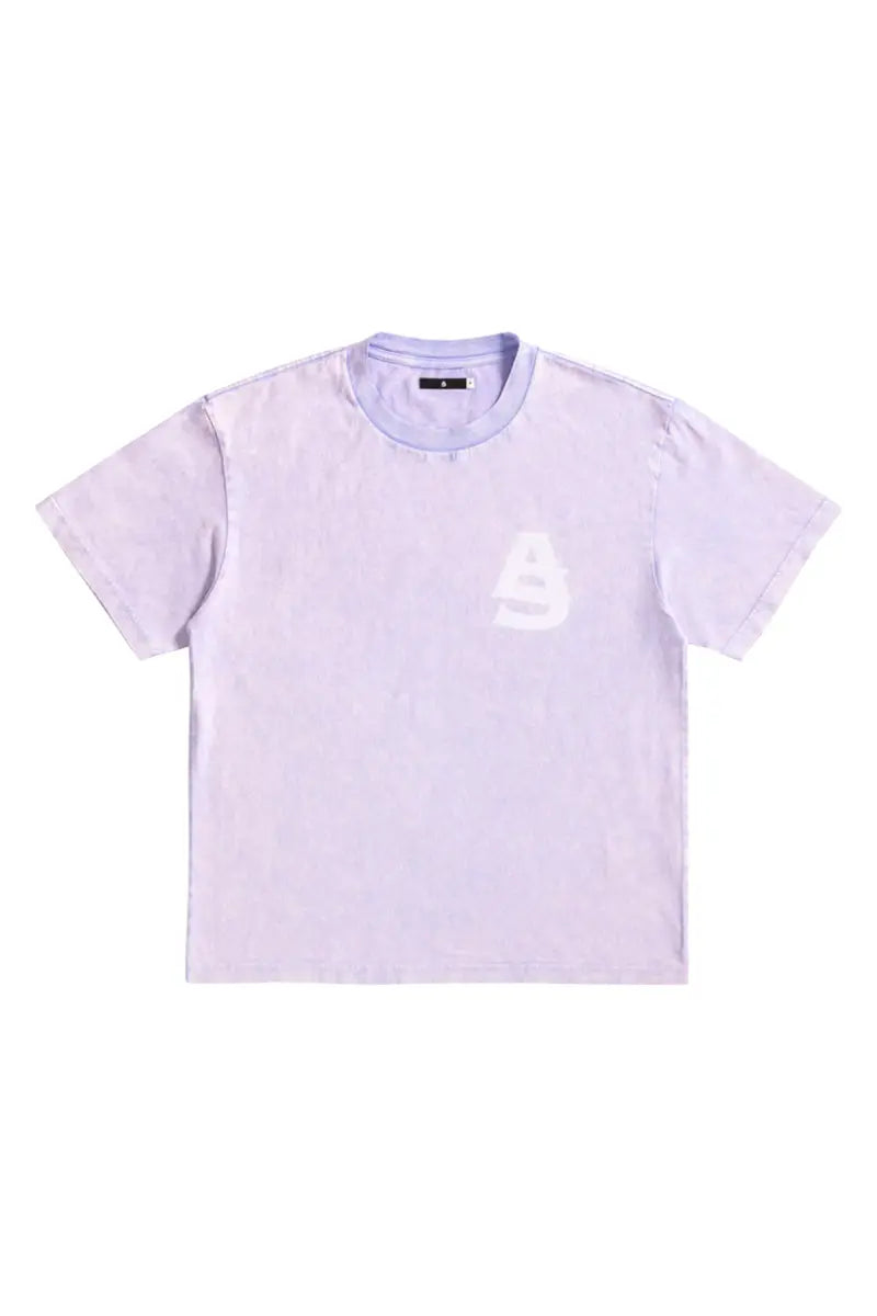 Riley Snow Wash Tee AlphaStyle