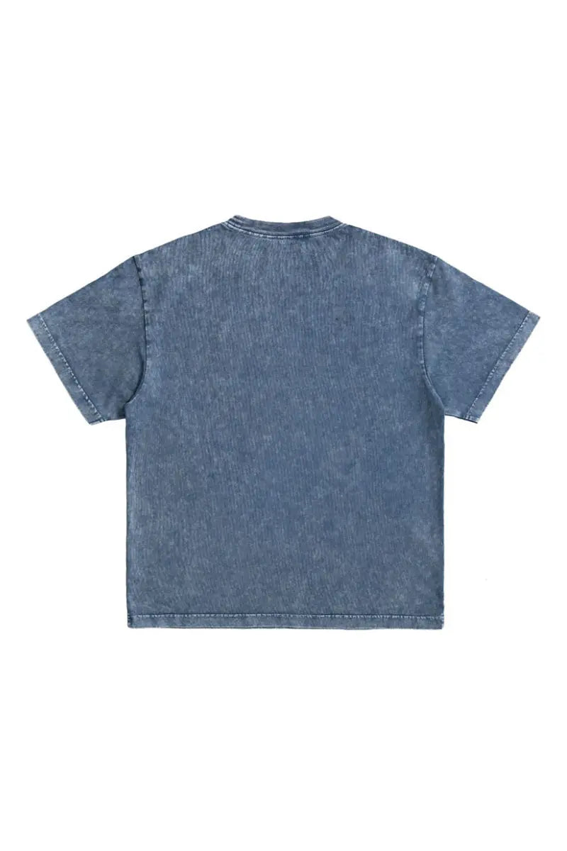 Riley Snow Wash Tee AlphaStyle