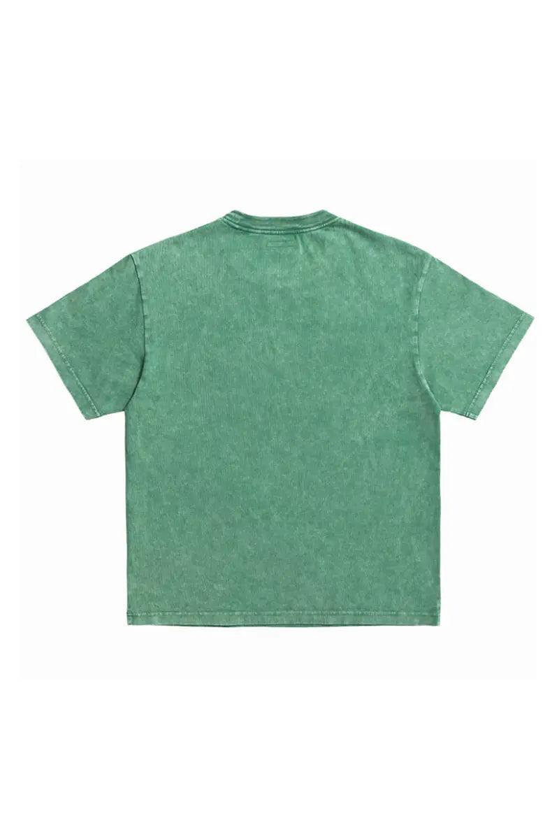 Riley Snow Wash Tee AlphaStyle