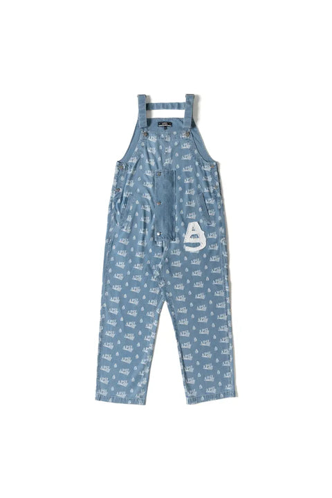 Wiley Printed Denim Overall AlphaStyle