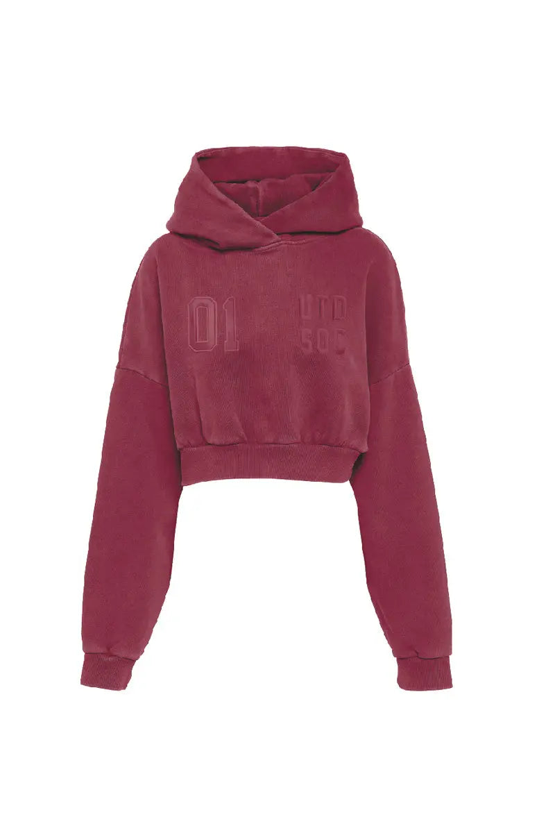 Yana Cropped Hoodie AlphaStyle