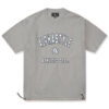 Hale Paneled Tee – GREY